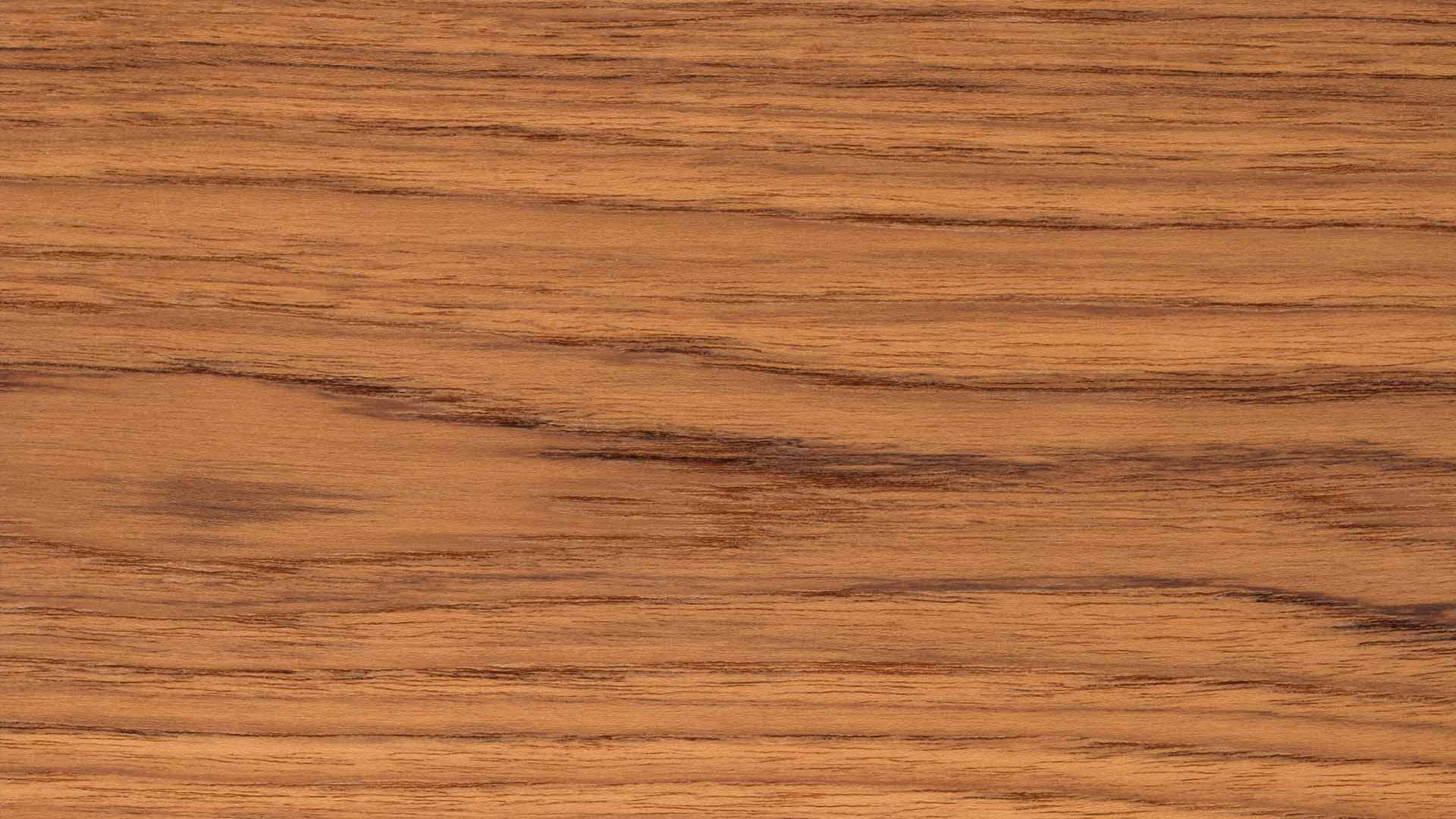Gatunki drewna