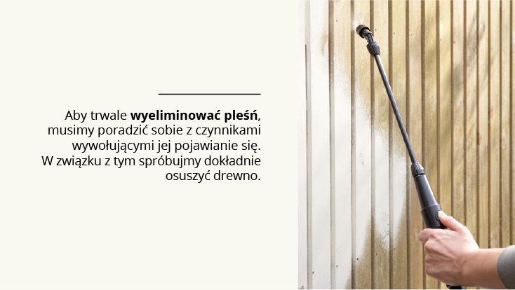 Zabezpieczenie drewna przed pleśnią