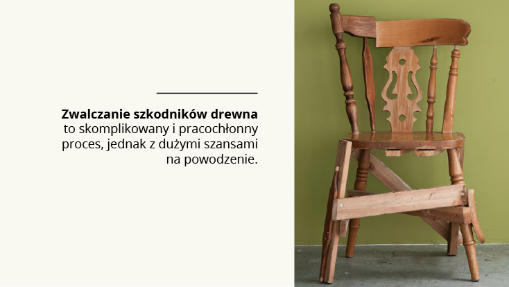 Jak się pozbyć szkodników z drewna?